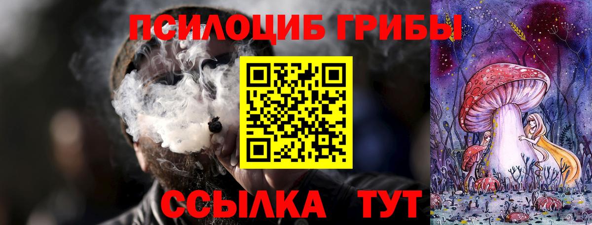 Алушта  Галлюциногенные грибы GOLDEN TEACHER  Вход с VPN 